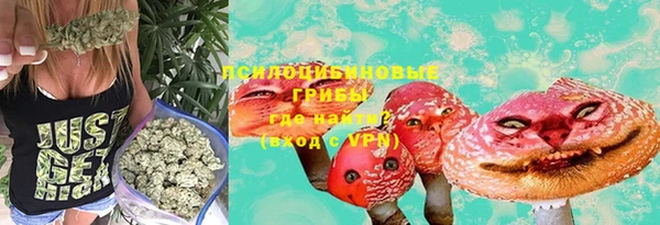 соль курить ск Лагань