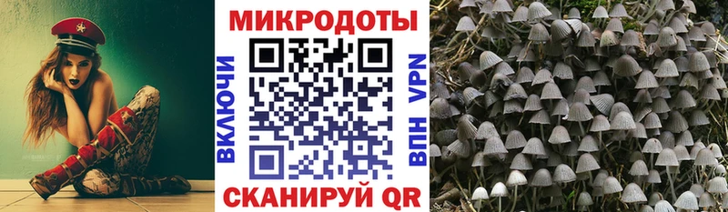 Галлюциногенные грибы мицелий  Купить где  Кириши 